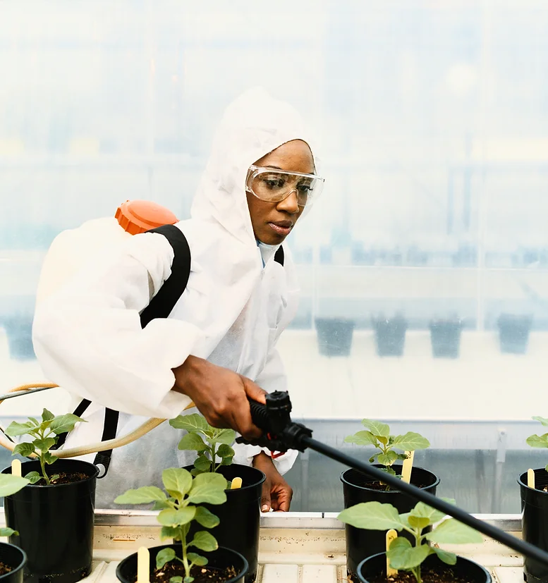 Lab Technician Spraying Plants